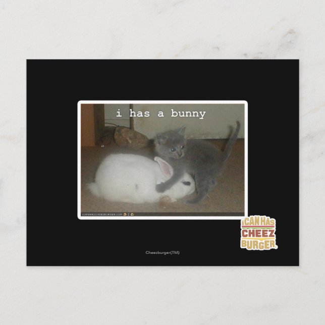 Cartão Postal Eu tenho um coelho (Frente)
