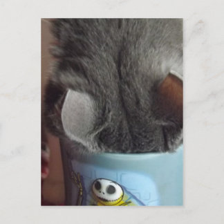 CARTÃO POSTAL EU TIVE MEU CAFÉ!