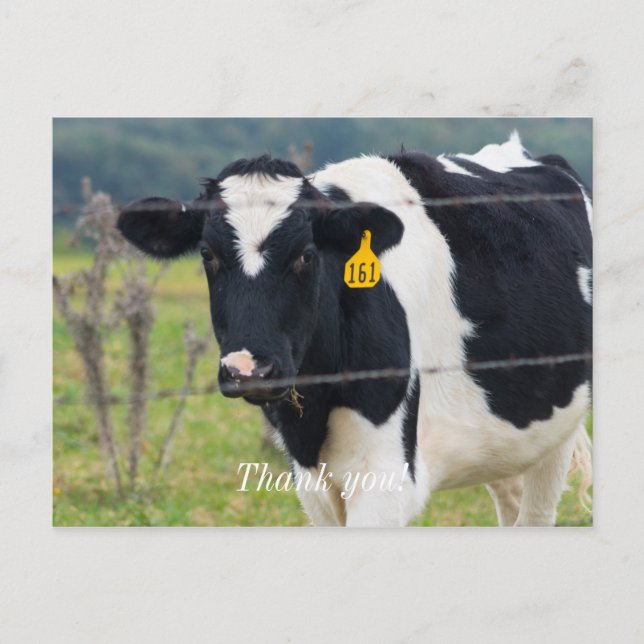 Cartão postal Eu Vejo Você Obrigado (Frente)