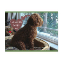 Eu vou esperar aqui | Cartão-postal Blue Beach™