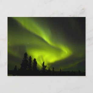 Cartão Postal EUA, Alasca, Chena Hot Springs. Aurora Boreal 2