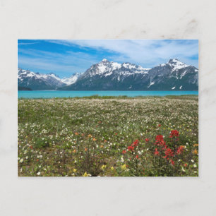 Cartão Postal EUA, Alasca, Parque Nacional Glacier Bay 2