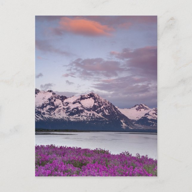 Cartão Postal EUA, Alaska, Vale do Rio Alsek. Vista de Alsek (Frente)