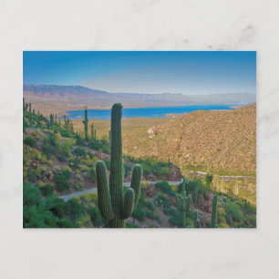 Cartão Postal EUA, Arizona. Ver Da Entrada Para Tonto