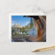 Cartão Postal EUA, Califórnia, Floresta Nacional Inyo. Pinheiro  (Frente/Verso In Situ)