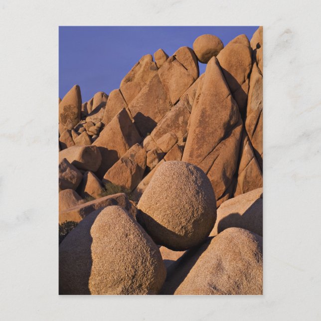 Cartão Postal EUA, Califórnia, Parque Nacional Joshua Tree. (Frente)