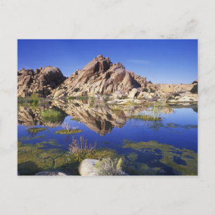 Cartão Postal EUA, Califórnia, Parque Nacional Joshua Tree,
