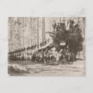 Cartão Postal EUA Calvário protegendo Parques Nacionais