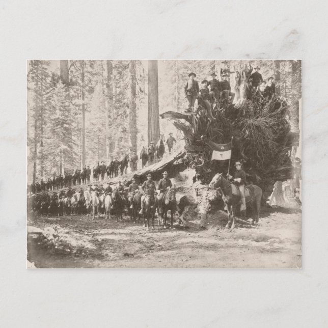 Cartão Postal EUA Calvário protegendo Parques Nacionais (Frente)