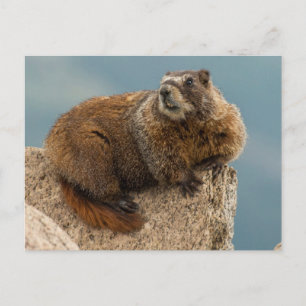 Cartão Postal EUA, Colorado, San Juan Mountain 2