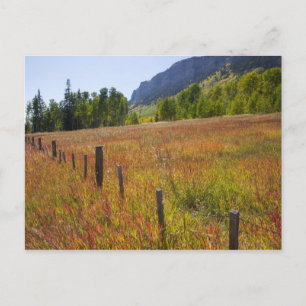 Cartão Postal EUA, Colorado, San Juan National Forest, ao longo