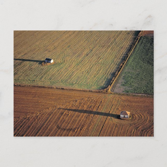 Cartão Postal EUA, Dakota do Norte, Washington. Lâmpadas tardias (Frente)