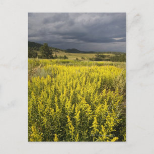 Cartão Postal EUA, Dakota do Sul, Flores e tempestade