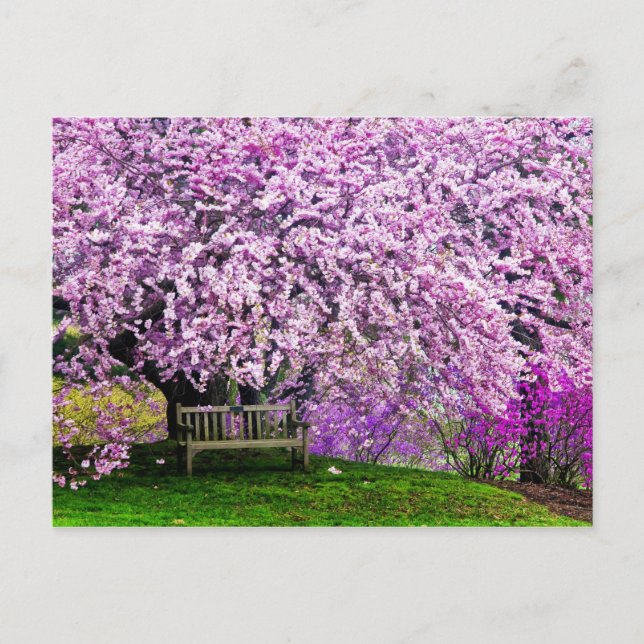 Cartão Postal EUA, Delaware, Wilmington. Banco de madeira debaix (Frente)