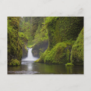 Cartão Postal EUA, Eagle Creek, Columbia Gorge, Oregon. 3