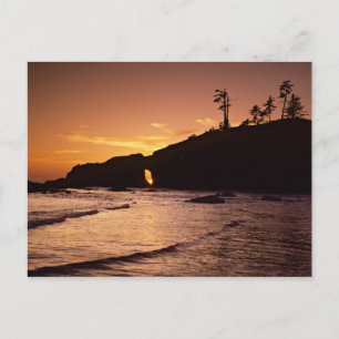 Cartão Postal EUA, Estado de Washington, Parque Nacional Olimpia