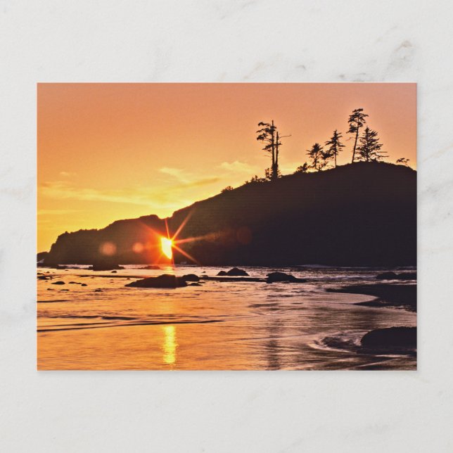 Cartão Postal EUA, Estado de Washington, Parque Nacional Olimpia (Frente)