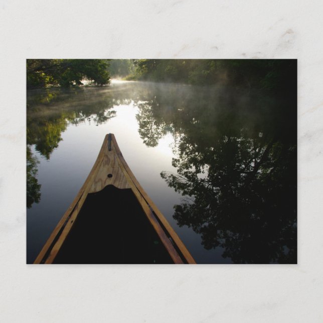 Cartão Postal EUA, Florida, Ocala National Forest, Alexander (Frente)