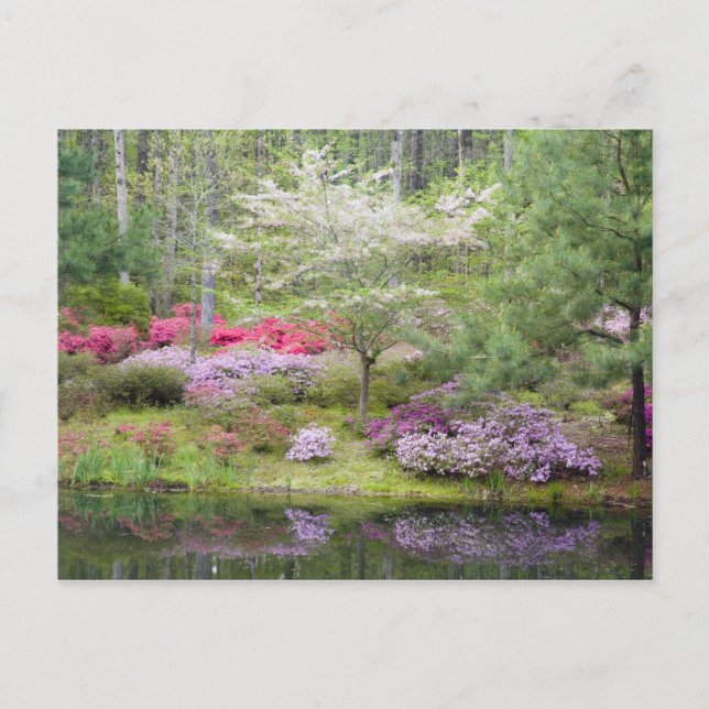 Cartão Postal EUA, Geórgia, Pine Mountain. Uma mistura de (Frente)