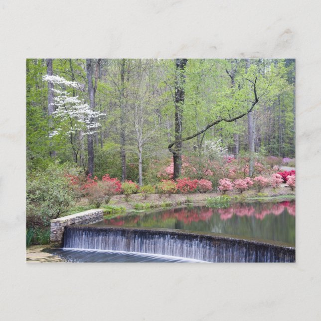 Cartão Postal EUA, Geórgia, Pine Mountain. Uma pequena cascata (Frente)