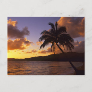 Cartão Postal EUA, Havaí, Kauai, Colorido nascer do sol em um 2
