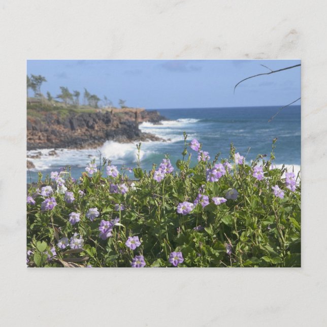 Cartão Postal EUA, Havaí, Kauai, perto de Kapaa, noroeste (Frente)