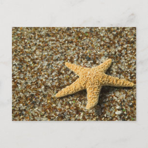 Cartão Postal EUA, HI, Kauai, Glass Beach com Star fish
