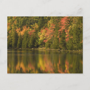 Cartão Postal EUA; Maine; Acadia NP. Reflexos de outono em
