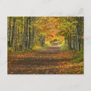 Cartão Postal EUA, Michigan, Península Superior. Estrada para