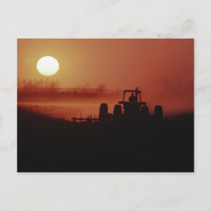 Cartão Postal EUA, Mississippi, campo de algodão sendo disquado