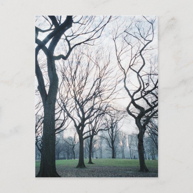 Cartão Postal EUA, Nova Iorque, Nova Iorque do Central Park (Frente)