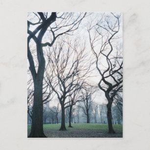 Cartão Postal EUA, Nova Iorque, Nova Iorque do Central Park