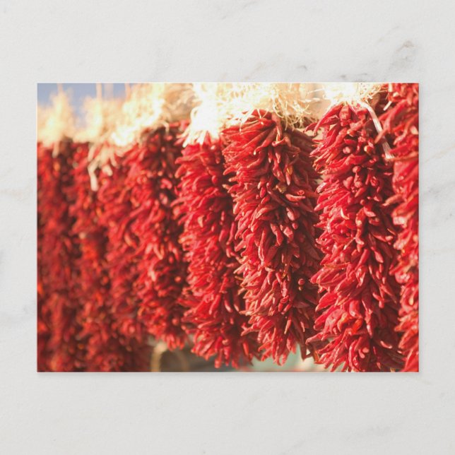 Cartão Postal EUA, Novo México, Papais noeis Fe: Papais noeis Ce (Frente)