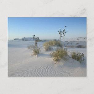 Cartão Postal EUA, Novo México, White Sands National 2