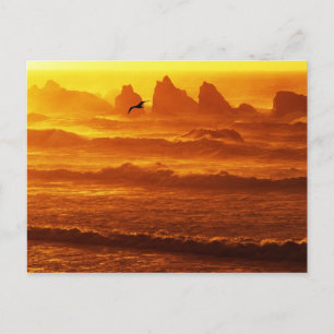 Cartão Postal EUA, Oregon, Bandon. Pôr do sol sobre ondas e mar