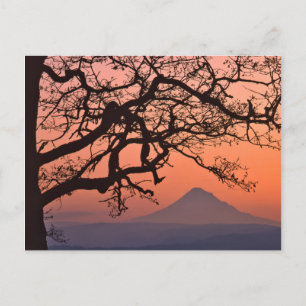 Cartão Postal EUA, Oregon, Columbia River Gorge National 2