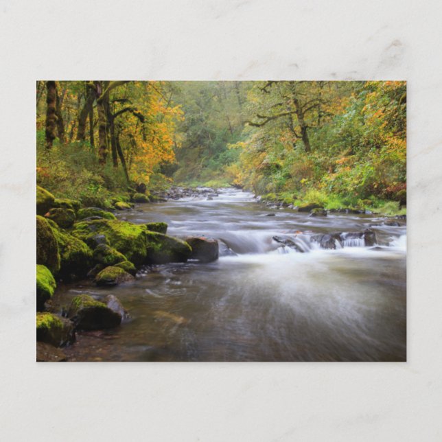 Cartão Postal EUA, Oregon, Columbia River Gorge, Tanner Creek (Frente)