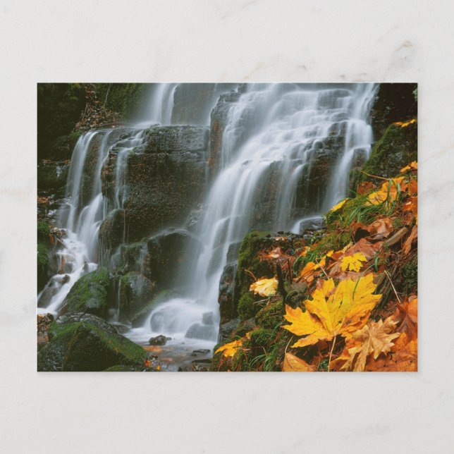 Cartão Postal EUA, Oregon, Falls de Fada, Gorge do Rio Columbia (Frente)