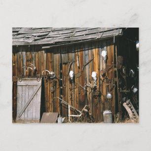 Cartão Postal EUA, Oregon, Harney County. Viva estável