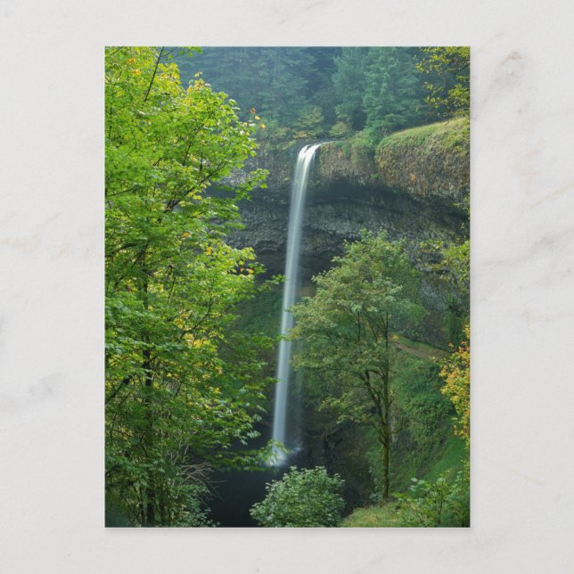 Cartão Postal EUA, Oregon, Parque Estadual Silver Falls (Frente)