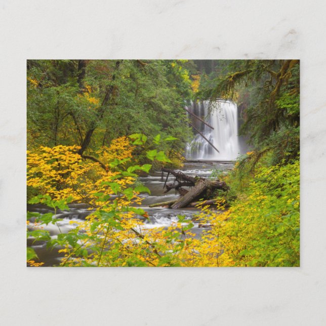 Cartão Postal EUA, Oregon, Parque Estadual Silver Falls 2 (Frente)
