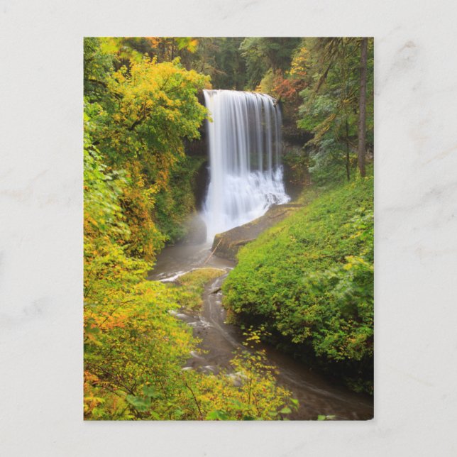 Cartão Postal EUA, Oregon, Parque Estadual Silver Falls 3 (Frente)