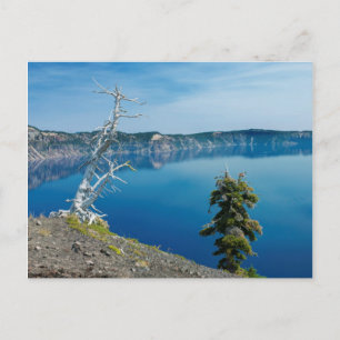 Cartão Postal EUA, Oregon, Parque Nacional Crater Lake 4