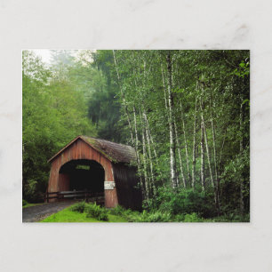 Cartão Postal EUA, Oregon. Ponte Coberta Sobre North Fork