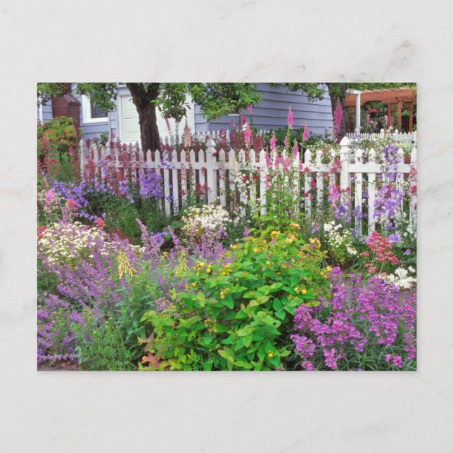 Cartão Postal EUA, Oregon, Portland. Explosão De Springtime (Frente)