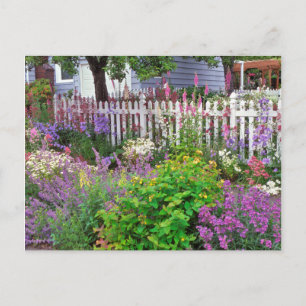 Cartão Postal EUA, Oregon, Portland. Explosão De Springtime