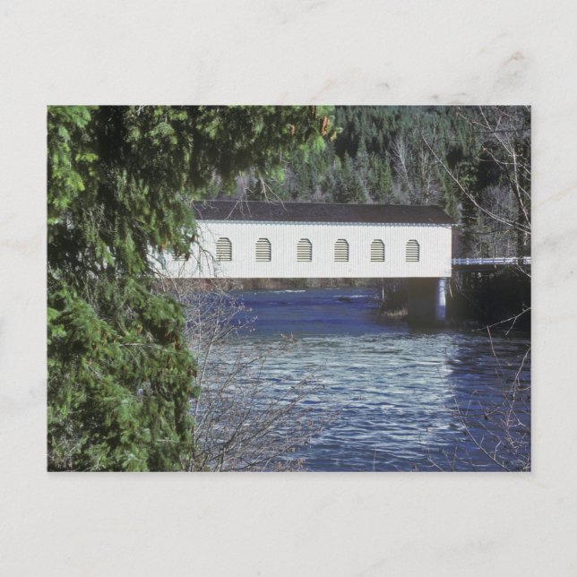 Cartão Postal EUA, Oregon. Um apanhador que atravessa a (Frente)