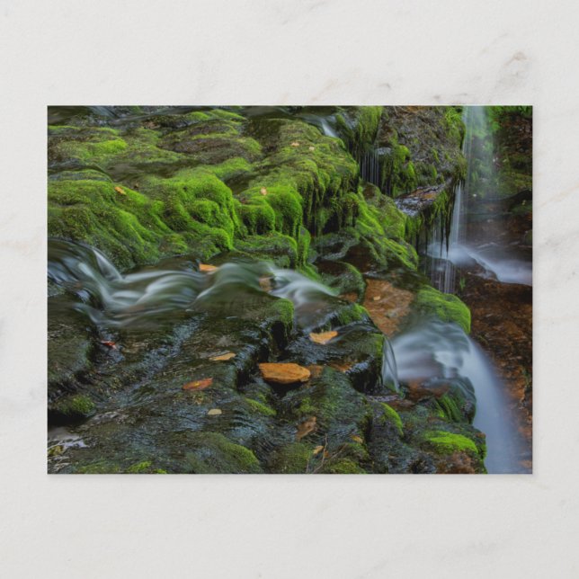 Cartão Postal EUA, Pensilvânia, Benton, Rickets Glen State (Frente)