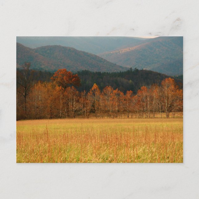 Cartão Postal EUA, Tennessee. Cades Cove Na Montanha Enfumaçado (Frente)