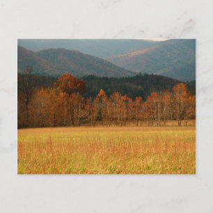Cartão Postal EUA, Tennessee. Cades Cove Na Montanha Enfumaçado